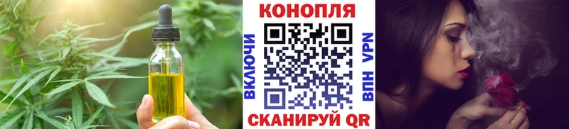 купить наркотики сайты  сайты даркнета Telegram  Печенье с ТГК конопля  Карачаевск 