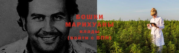 ГАЛЛЮЦИНОГЕННЫЕ ГРИБЫ Бугульма