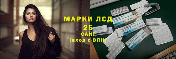 бошки Бородино
