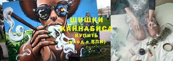 бошки Бородино