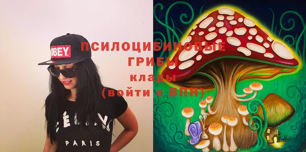 ГАЛЛЮЦИНОГЕННЫЕ ГРИБЫ Бугульма