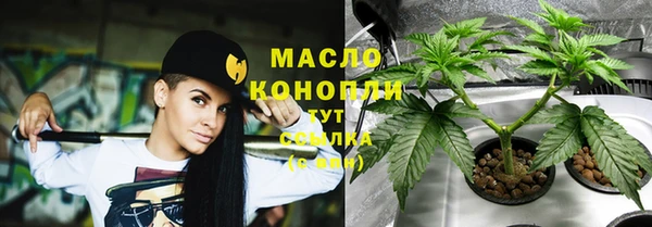 бошки Бородино