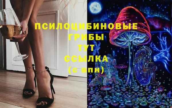ГАЛЛЮЦИНОГЕННЫЕ ГРИБЫ Бугульма