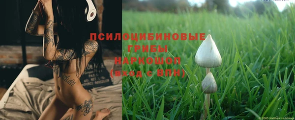 бошки Бородино