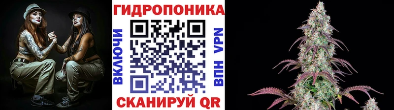 Шишки марихуана индика  дарк нет какой сайт  Карачаевск 